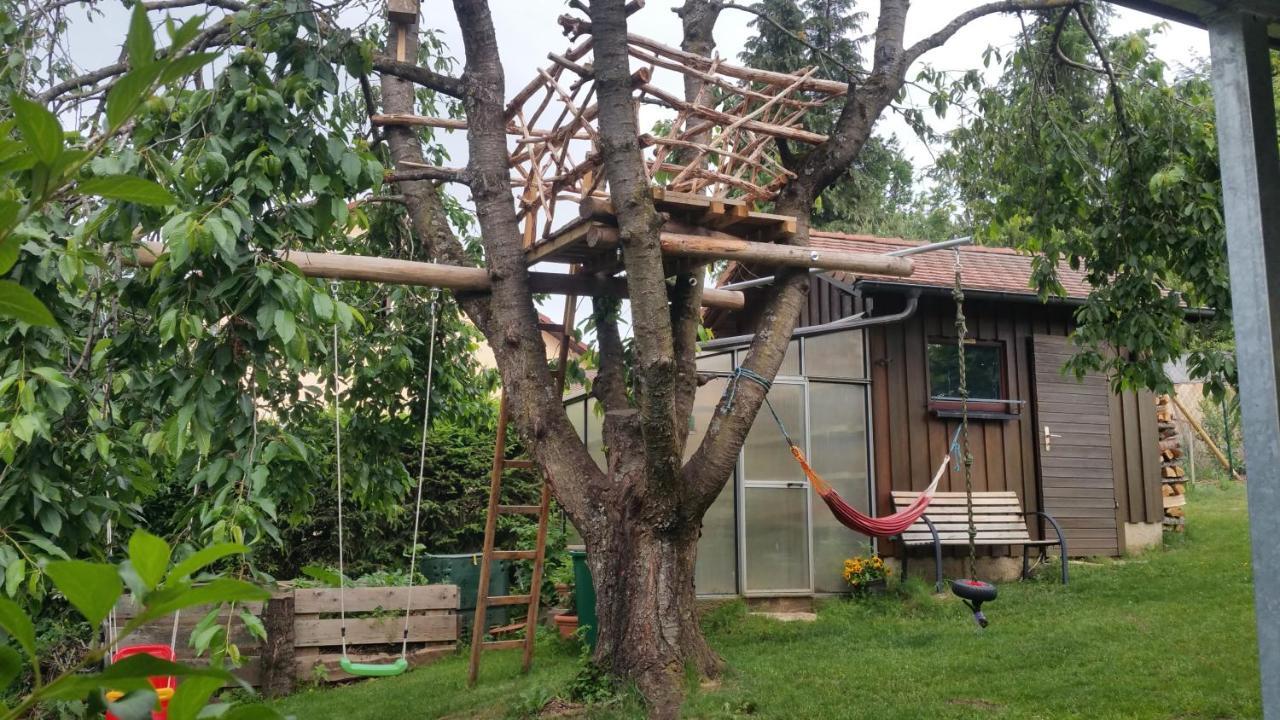 Ferienwohnung Adelhardt Eckersdorf Exteriör bild